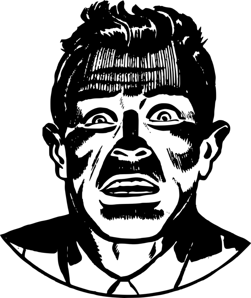 פאניקה